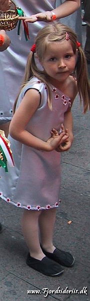 Karneval 2003  124.JPG